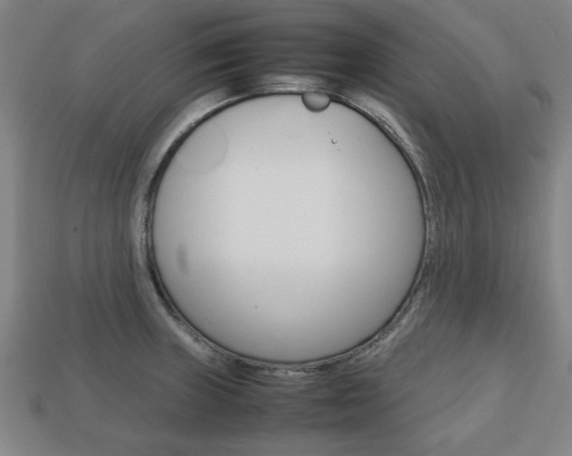 X0000113781235200909231034