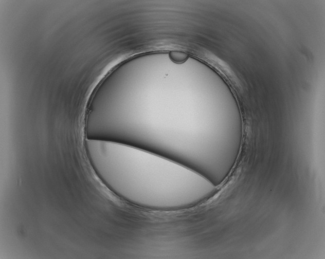 X0000113781236200909231034