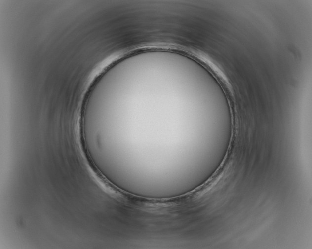 X0000113781237200909231034