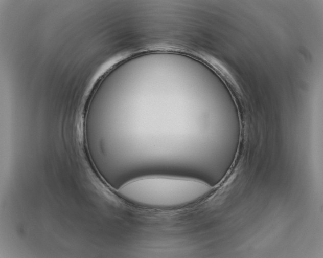 X0000113781238200909231034