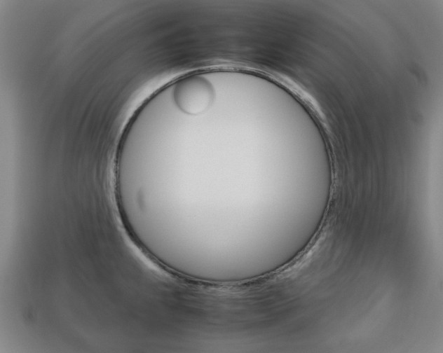 X0000113781239200909231034