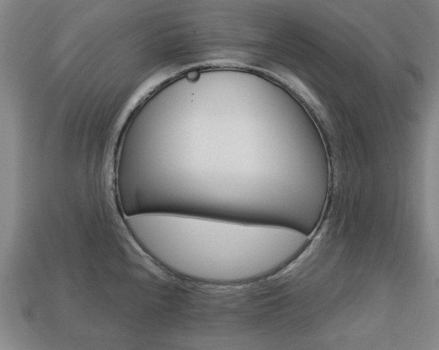 X0000113781240200909231034