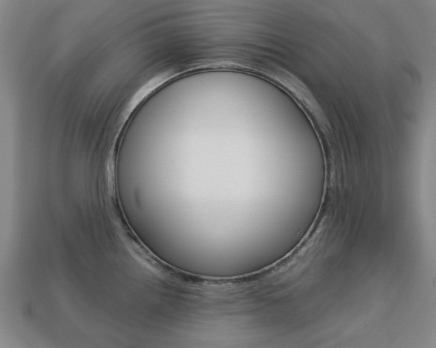 X0000113781242200909231034