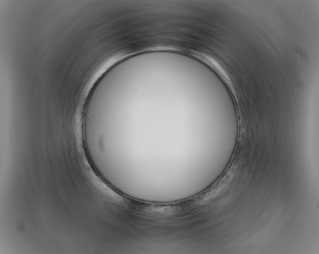 X0000113781243200909231034