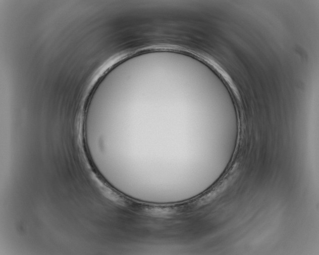 X0000113781245200909231034