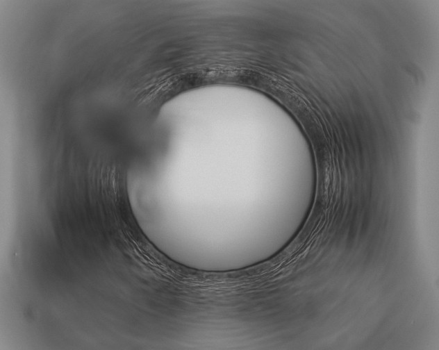 X0000113781250200909231034