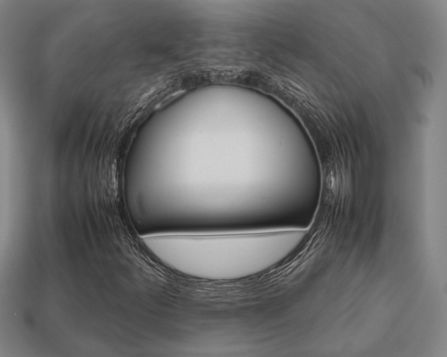 X0000113781252200909231034