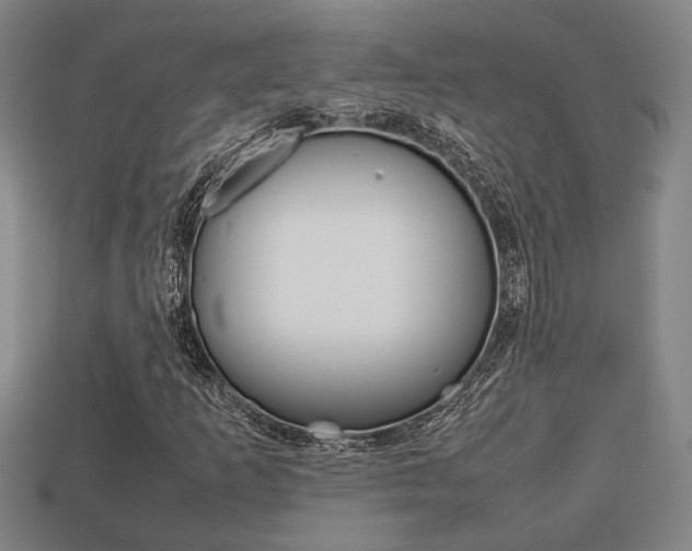 X0000113781253200909231034