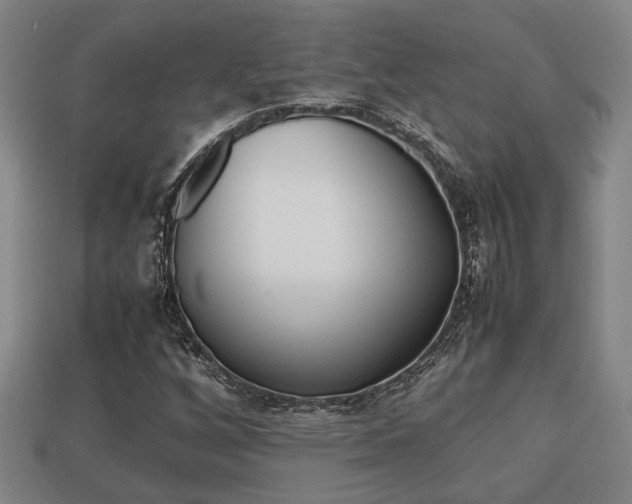 X0000113781256200909231034