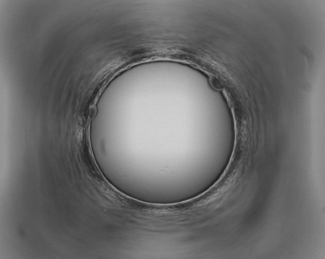 X0000113781257200909231033