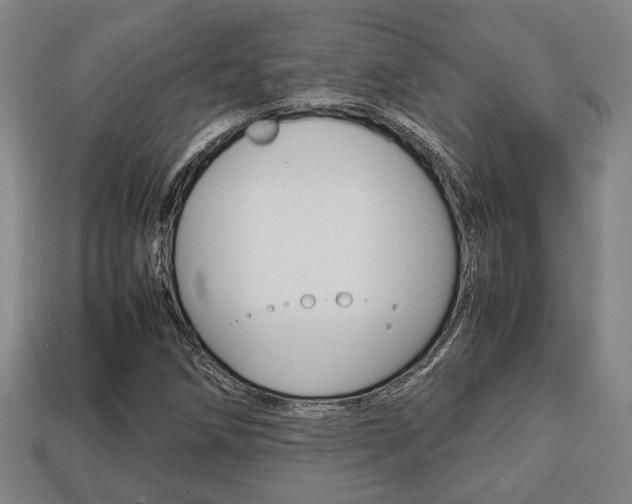 X0000113781258200909231033