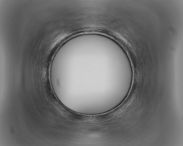 X0000113781259200909231033