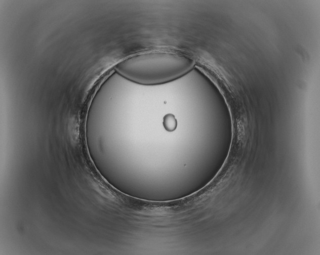 X0000113781260200909231033