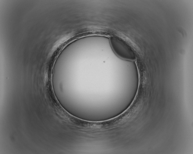 X0000113781261200909231033