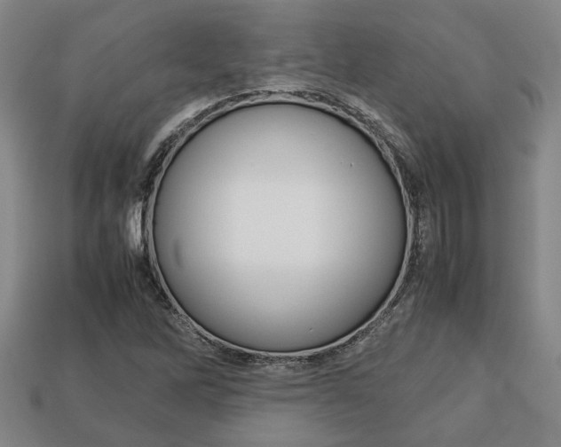 X0000113781262200909231033