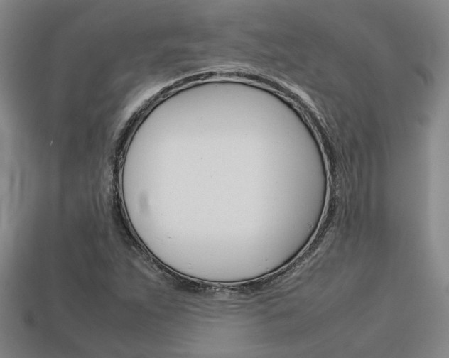 X0000113781263200909231033