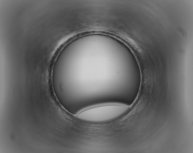 X0000113781264200909231033