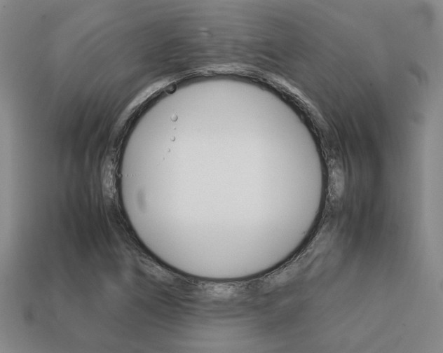 X0000113781266200909231033