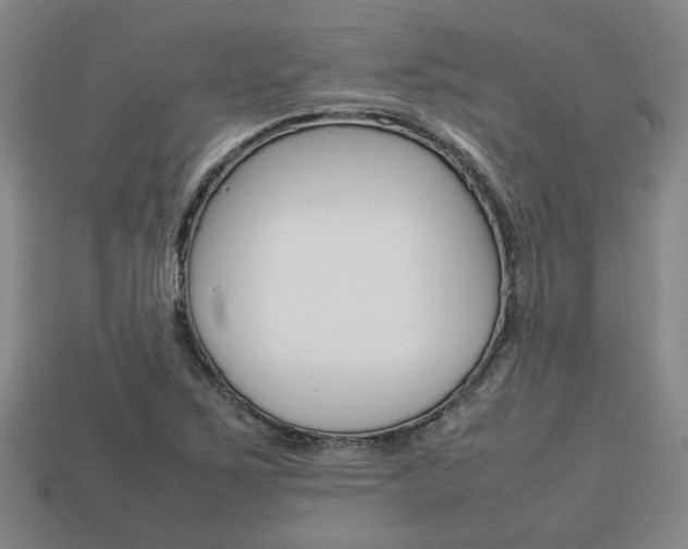 X0000113781267200909231033