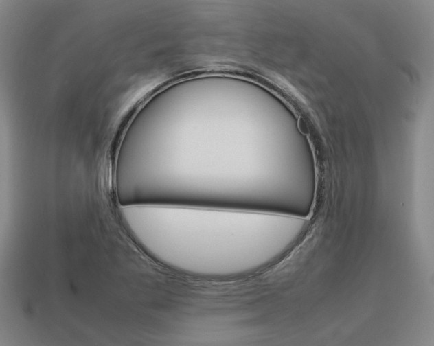 X0000113781269200909231033