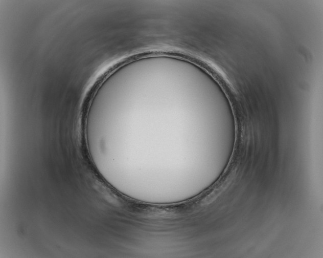 X0000113781270200909231033