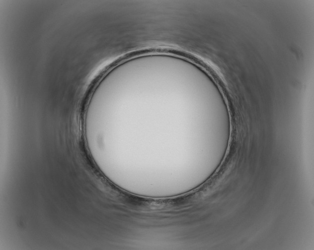 X0000113781271200909231033