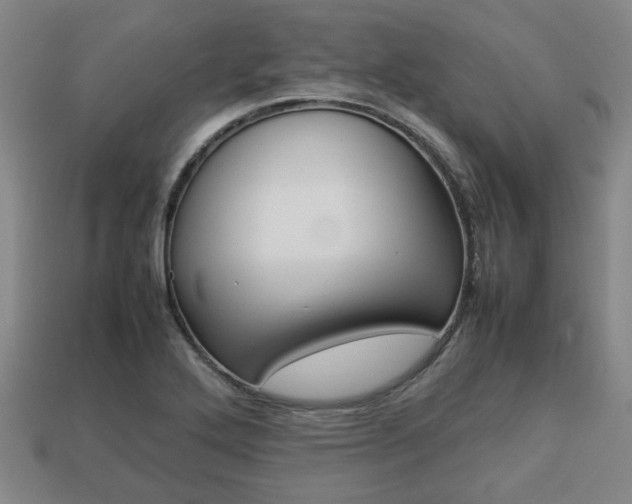 X0000113781272200909231033