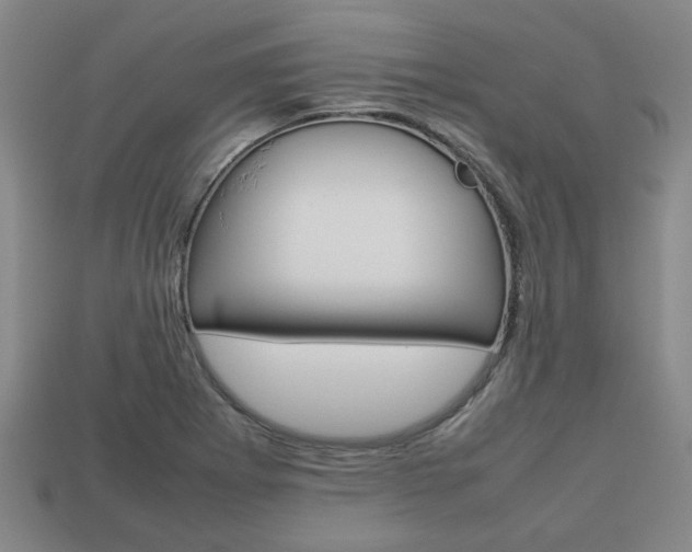 X0000113781273200909231033