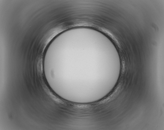 X0000113781274200909231033