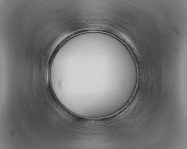 X0000113781275200909231033