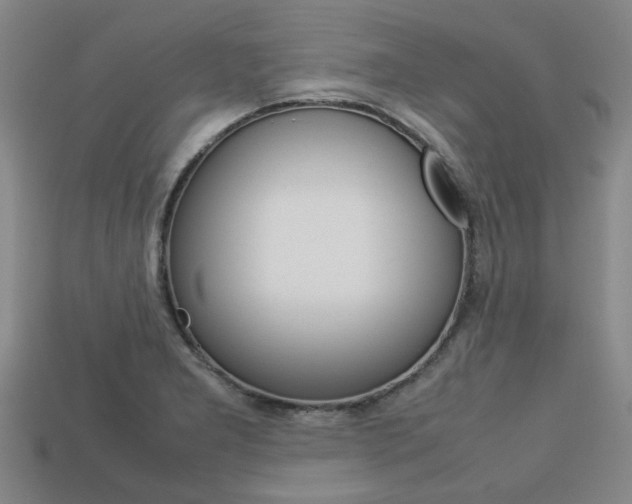 X0000113781277200909231033