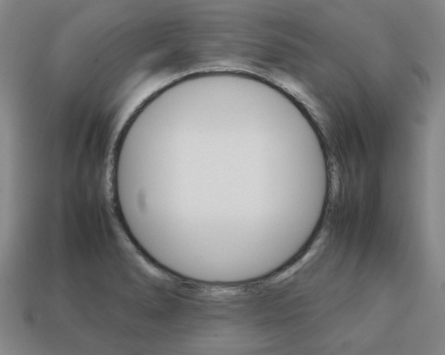 X0000113781278200909231033