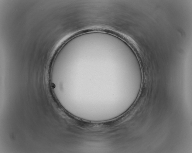 X0000113781279200909231033