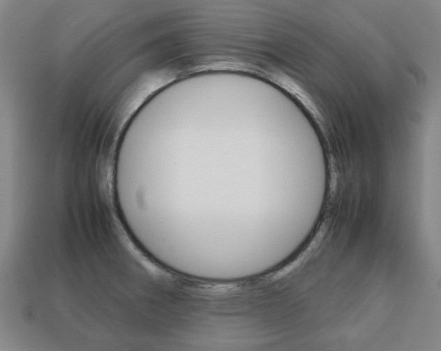 X0000113781282200909231033