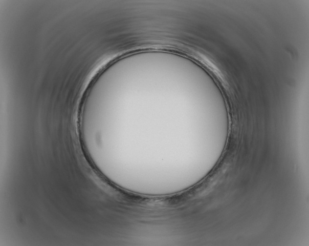 X0000113781283200909231033