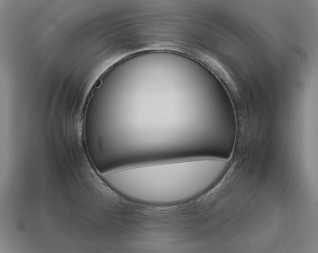 X0000113781284200909231033