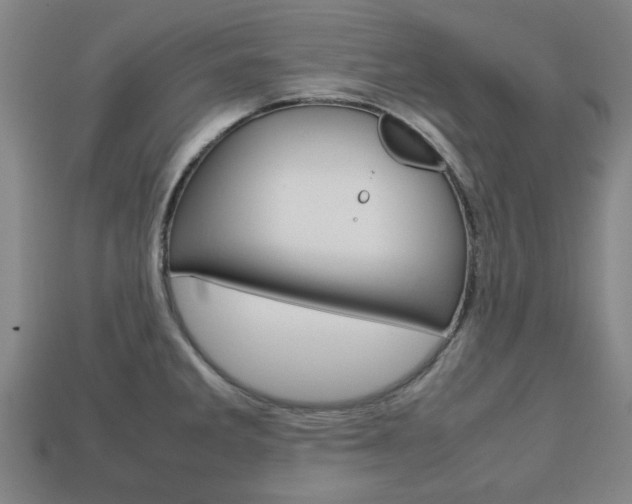 X0000113781285200909231033