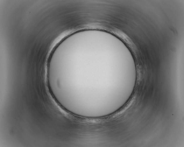 X0000113781286200909231033
