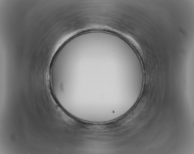 X0000113781287200909231033