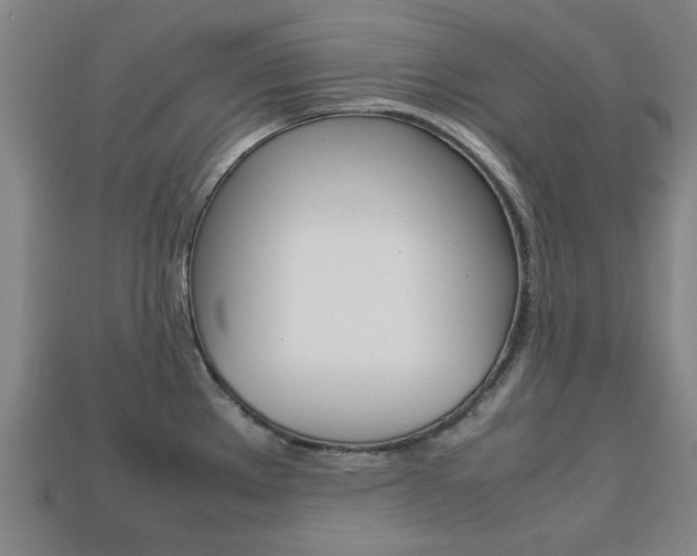 X0000113781289200909231033