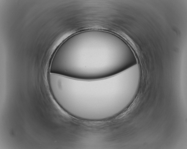 X0000113781293200909231033