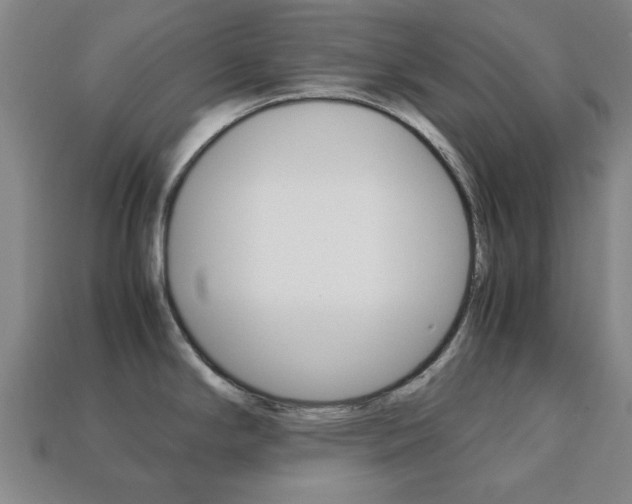 X0000113781294200909231033