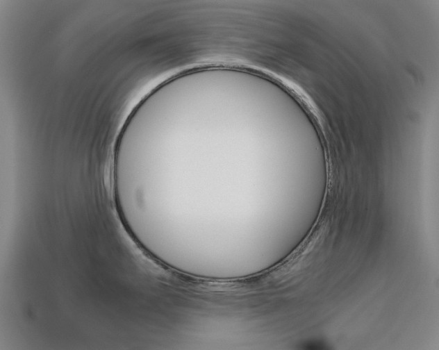 X0000113781295200909231033