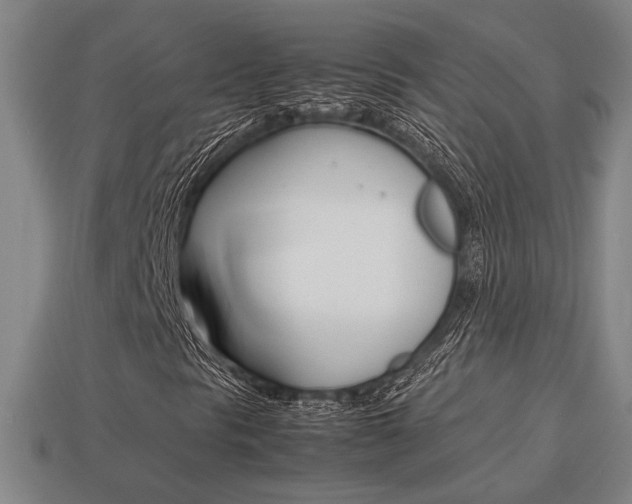 X0000113781297200909231032