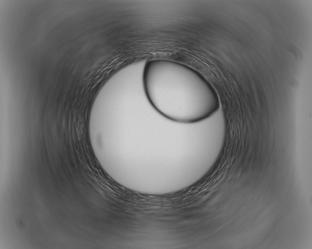 X0000113781298200909231032