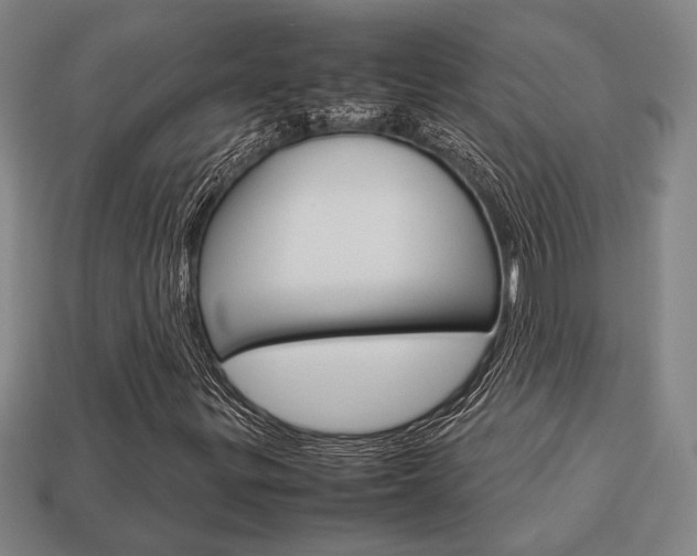 X0000113781299200909231032