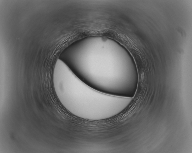 X0000113781300200909231032