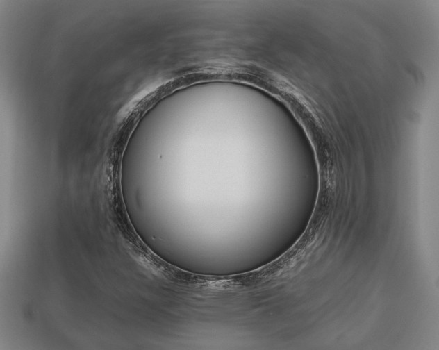 X0000113781304200909231032