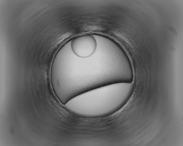 X0000113781305200909231032