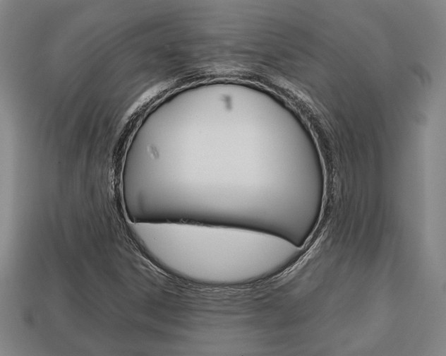 X0000113781306200909231032